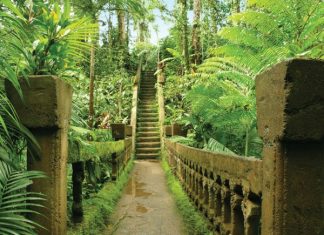 Парк Паронелла