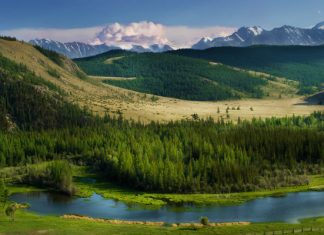 На осенний этап туркешбэка могут выделить еще 5 млрд рублей