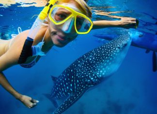 12 лучших мест в Таиланде для дайвинга и сноркелинга