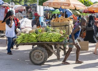 Что не стоит делать в Танзании: 9 важных советов