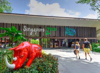 Лучшие зоопарки пяти континентов