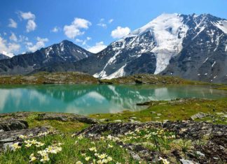 Летом в России смогут отдохнуть более 31 млн туристов