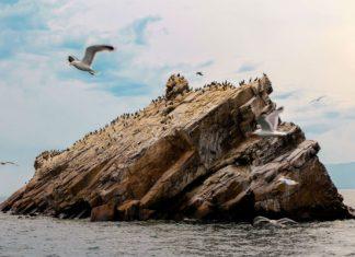 Отдых на Байкале летом 2020