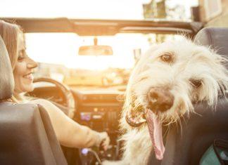 Маршрут автопутешествия по Европе: Германия, Швейцария, Лихтенштейн, Италия