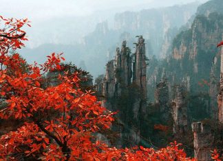 Красочные осенние пейзажи в Чжанцзяцзе.