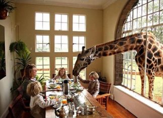 Бутик-отель Giraffe Manor, Найроби, Кения