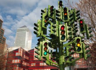 Светофорное дерево в Лондоне