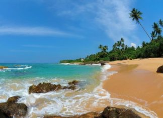 Озвучена дата отмены визового сбора в Шри-Ланке