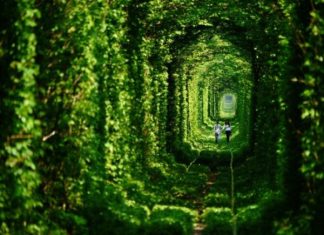 Тоннель любви (Tunnel of Love) Клевань, Ровенская область, Украина