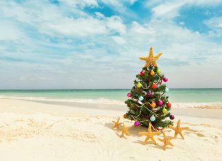 Где россияне проведут новогодние праздники?