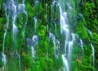 Водопад Мосбрей (Mossbrae Falls) Дансмьюир, Калифорниия, США