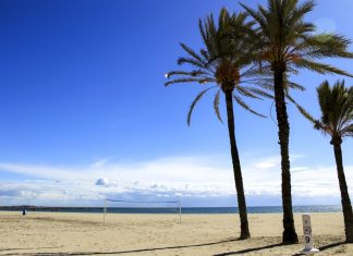 Что нужно знать перед отпуском: новые штрафы для туристов в Европе