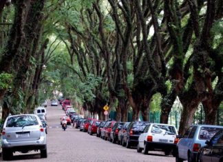 Зеленая улица Руа-Гонсалу-де-Карвальо (Rua Goncalo de Carvalho), Бразилия