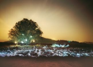 Световая инсталляция «Звездная ночь» от фотографа Ли Юниеол