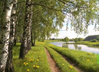 Доработанную версию нацпроекта предоставят до конца августа