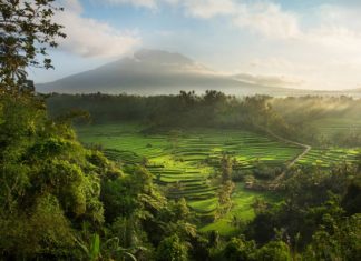Индонезия ужесточает правила въезда в страну