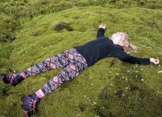 Мох в Исландии, Лавовые поля