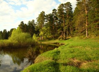 Сведения в реестр туроператоров можно будет внести через Госуслуги