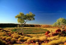 Вулф-Крик (Wolfe Creek Meteorite Crater) — самый большой метеоритный кратер в мире, Австралия