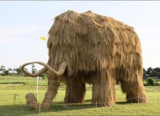 Скульптуры из соломы, Япония